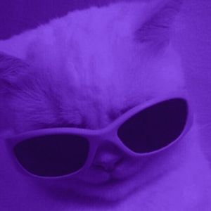 Meet your Posher, Ashleigh